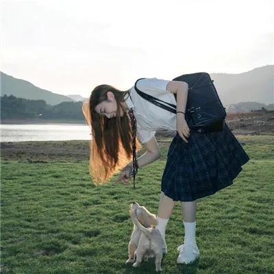 电脑天才狗