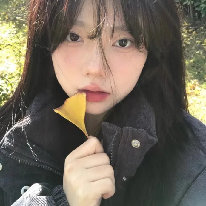 昭昭见欢